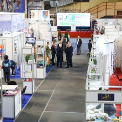 SUBOTICAcom 30Maj2019 Halasportova 1307034