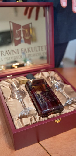 ambasador egipta 2024 09