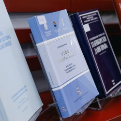 12 naucni skup 2025 11